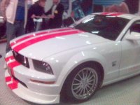 Bild(30).jpg