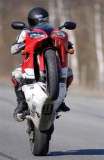 DSC_4809 (Medium).JPG