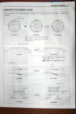 head_6570.jpg