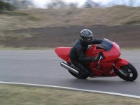 IMG_0298 (Medium).jpg