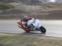 IMG_0308 (Medium).jpg