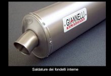 gianelti2.jpg