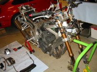 Image-41 (Large).jpg