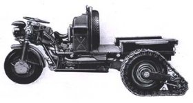 mulo9.jpg