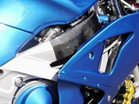 Carbon frame protectors.JPG