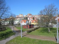 100-0051_IMG (Medium).JPG