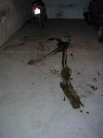 bild6.jpg