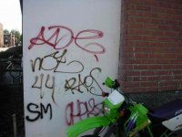bild1.jpg