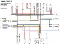 SCHALTP (Large).jpg