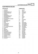 TTR39 (Large).jpg