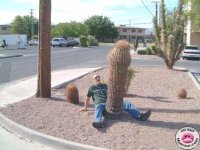 Temptourists1.jpg