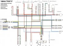 SCHALTP (Large).jpg