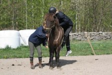IMG_1449 metallis påstig.jpg