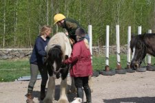 IMG_1455 grodögat påstig.jpg