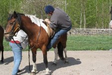 IMG_1462 rogerr nästan.jpg