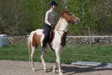 IMG_1470 vet ej.jpg