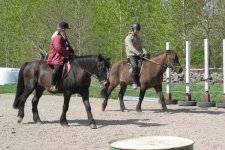 IMG_1466 metall och gula f.jpg