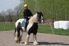 IMG_1473 grodis uppe.jpg