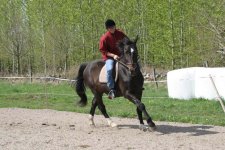IMG_1491 rufflerskan i böj.jpg