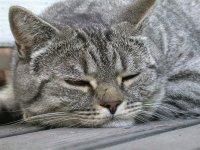 DSCN2221 (Medium).JPG