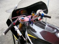 DSCN1335 (Medium).JPG