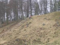 DSCN1361 (Medium).JPG