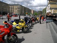 CIMG3583 (Large) (Medium).JPG