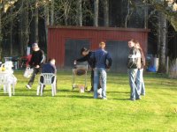 Remsor grillpartajar (Medium).jpg