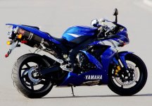 Yoshi 04R1.JPG