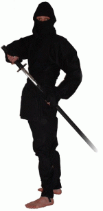 ninja.gif