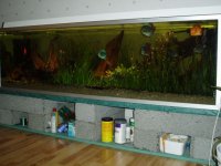akvarium.jpg