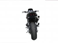 Rikards Hornet 600 undertail 1.JPG