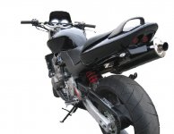 Rikards Hornet 600 undertail 2.JPG