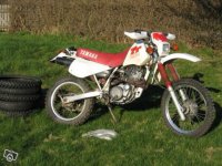 41-41981793041.jpg