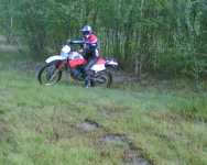 Bild013_edited.jpg