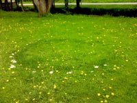 DSC00110.jpg
