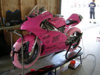 DSCN1668 (Large).JPG