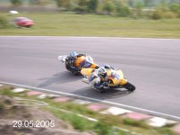 falken.jpg
