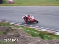 falken2.jpg