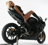 zx10_racefit.jpg
