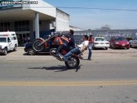 UpOnOne_Cool_Wheelie.jpg