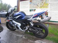 fredR1k´s 2 (Medium).jpg