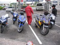 paus (Medium).jpg