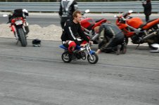 DSC_0082.jpg
