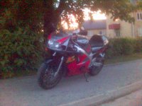 Bild(39).jpg