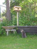 img_0036 kopiera.jpg