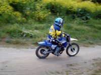 zebbe3.jpg