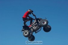 img_0805_std.jpg