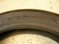 DSCN1839 (Large).JPG