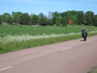 IMG_0810.jpg